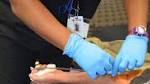  Critical need for blood donations declared in January continues