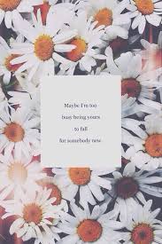 Quotes About Daisies. QuotesGram via Relatably.com