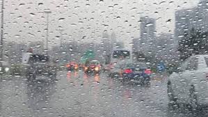 صدى البلد - News update