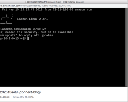 Image of terminal showing the connection to an EC2 instance