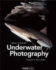 Luminous Sea: Underwater Photography Book Indiegogo