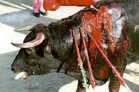 Resultado La imagen de causar HOMBRE CONTRA LOS ANIMALES