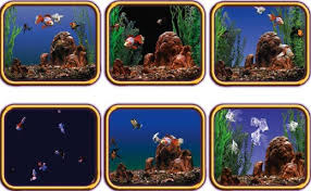 Résultat de recherche d'images pour "mac aquarium"