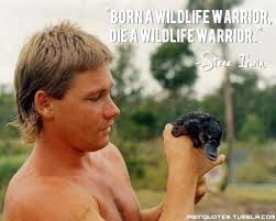 steve-irwin-quotes | Tumblr via Relatably.com