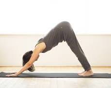 ダウンドッグポーズの画像