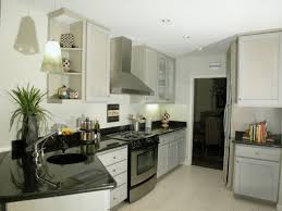 Image result for Modern Kitchen with Hardwood floors & Galley