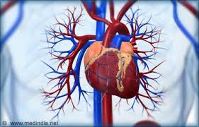 نتيجة بحث الصور عن ‪Vitamin D deficiency in childhood causes heart disease‬‏