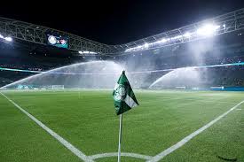 Palmeiras Vs Ldu Quito