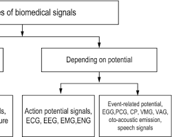 Image of Biomedical signals