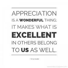 Appreciation is a wonderful thing; it makes what is excellent in ... via Relatably.com