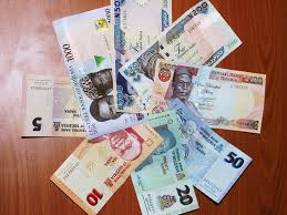 Image result for naira