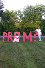 Funny Prom Proposal Pictures from Tumblr, Twitter | Teen.com via Relatably.com