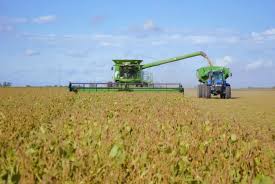 El Niño beneficia a la producción agropecuaria de Argentina – BBVA