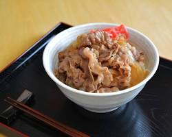 牛丼 フリー素材 写真の画像