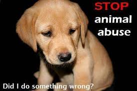 Abuse Quotes Images and Pictures via Relatably.com