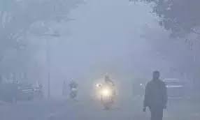 Winter Pleasant, Spring Far Behind In Telangana