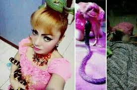 Image result for irma korban ular kobra
