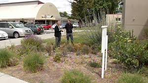 Image result for willow glen high garden