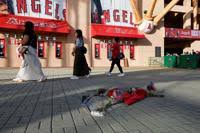 Padres Angels Baseball