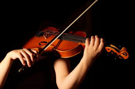 Image result for images of violin