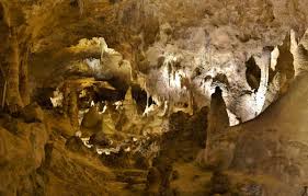 Someone Dropped A Bag Of Cheetos In Carlsbad Caverns. Rangers Found A Food Web Growing On It — StudyFinds