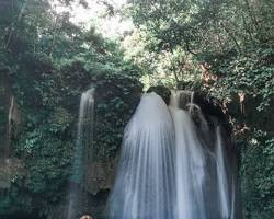 Kawasan Falls in Moalboal的圖片