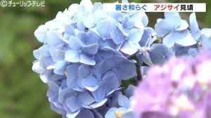 TBS NEWS DIG - News update