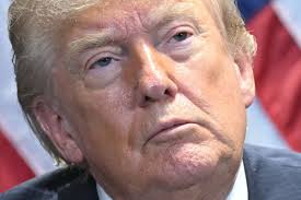 Governo Trump financia com US$ 1 milhão projeto no Brasil que acusa STF de censura, diz jornal