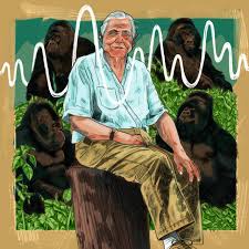 David Attenborough Centennial: A Celebration of a Voice and a Legacy