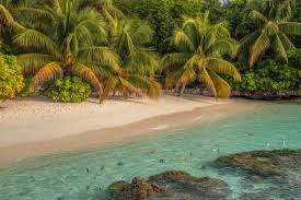 Travel And Tour World - News update