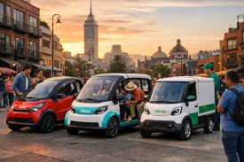 Olinia Auto Electrico