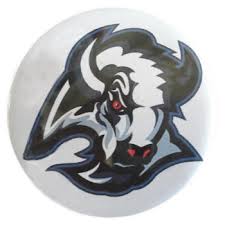 Image result for frc team logo