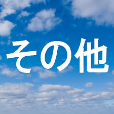 その他