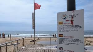 Diari de Tarragona - News update