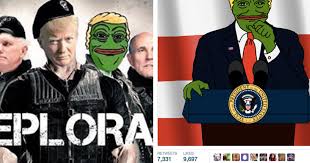 「trump pepe」の画像検索結果