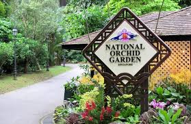 Image result for Vườn thực vật Bedugul