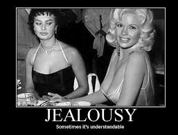 Jealousy sometimes it&#39;s understandable | Quotes | Pinterest ... via Relatably.com