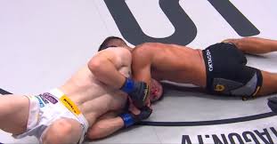 LowKickMMA.com - News update