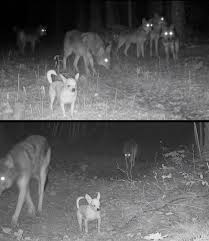 Này tin được không mn , để đi đồn nữa 😅 | Facebook