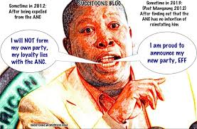 Julius Malema Quoted | Succitoons via Relatably.com