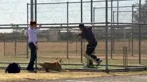 Tis' the last weekend before Christmas! Before you hit the ...