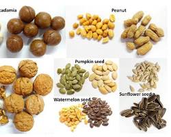 Nuts and seeds rich in antioxidants 이미지