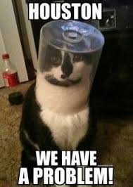 Houston we have a problem. #cat #humor #cats #funny #quotes #meme ... via Relatably.com