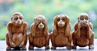 Image result for MONKEYS