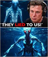 Nourhanne - Elon Musk Tells Us What The Navy Saw While Diving in the Ocean 🌊🚨 In a shocking revelation, Elon Musk has shared details of an extraordinary encounter that could change
