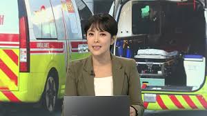 서울특별시