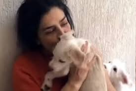 Letícia Sabatella reencontra cão após decisão da Justiça do Rio - 27/08/2026 - Bichos