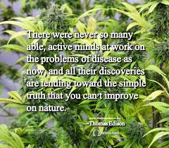 Marijuana Images, Marijuana Quotes &amp; Cannabis Infographics ... via Relatably.com