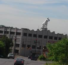 Image result for nipper albany