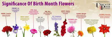 Image result for august flower